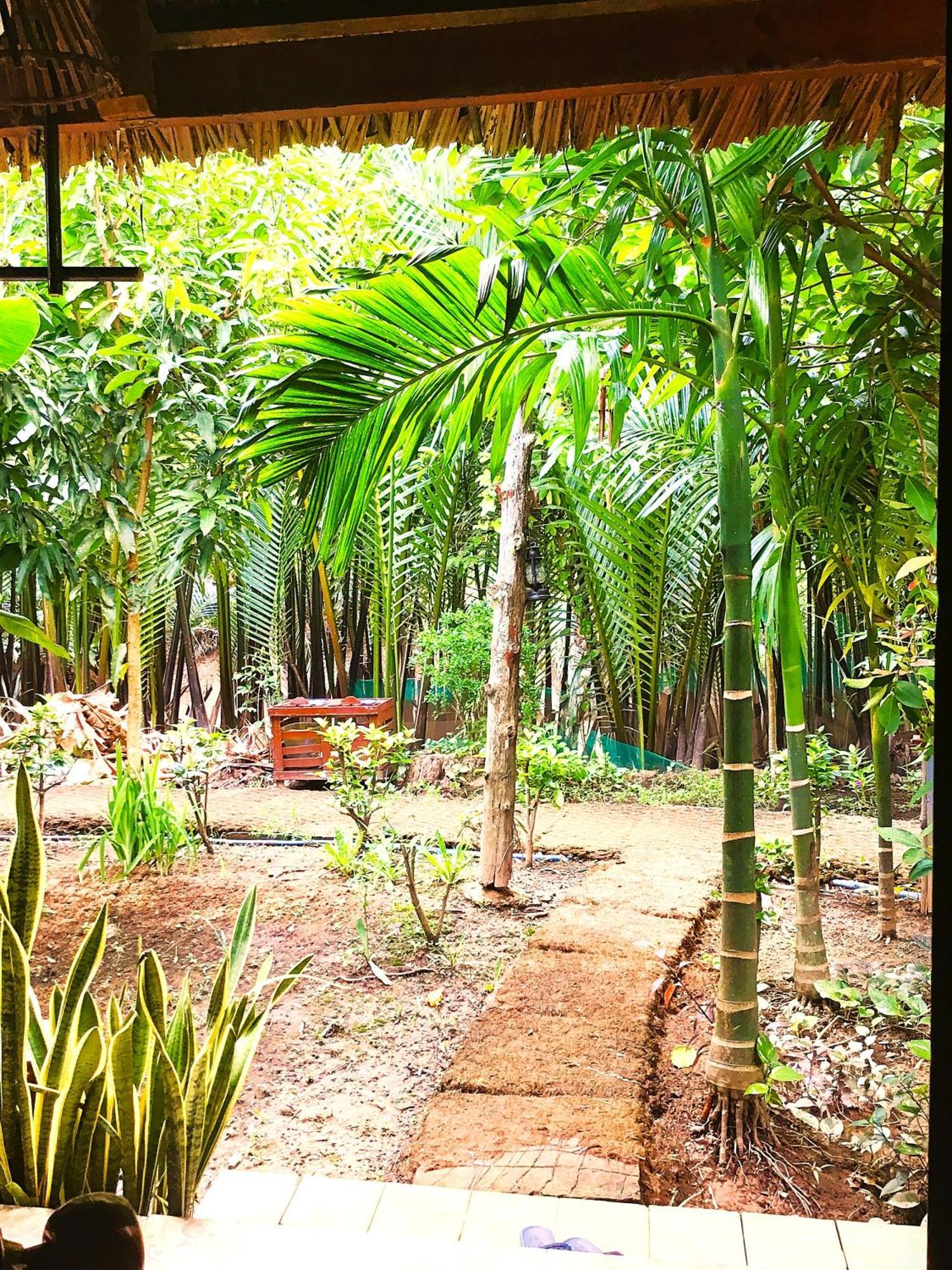 Ben Tre Farm Stay Exterior photo